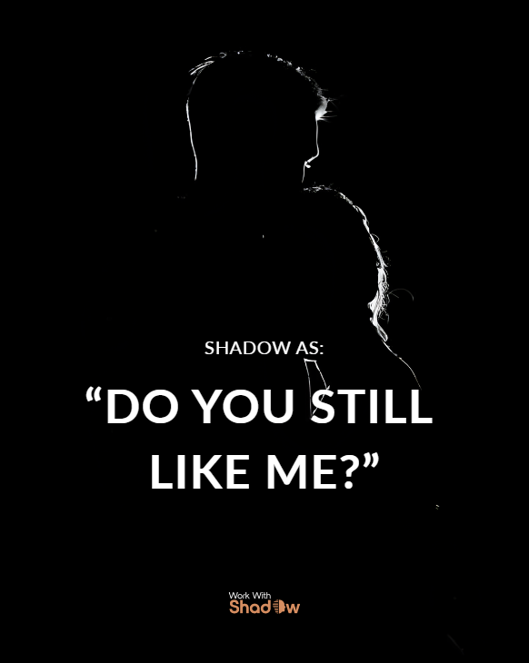 Work With Shadow — Do You Still Like Me